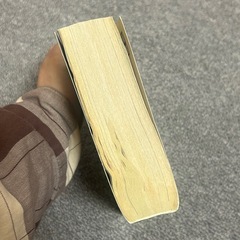 ケイの凄春 同行編の画像