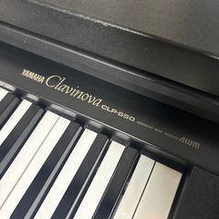 YAMAHA グラヴィノーヴァの画像