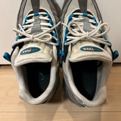 ヴェイパーマックス95の画像