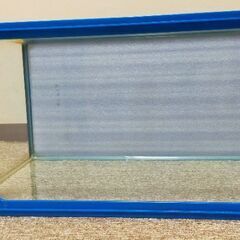 ガラス水槽Ｂ 縦29.5cm✕横60cm✕高36cmの画像