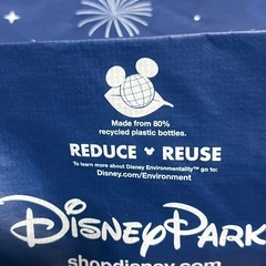 未使用タグ付◇フロリダ ディズニーワールド エコバッグ ショッピングバッグの画像