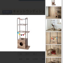 キャットタワーの画像