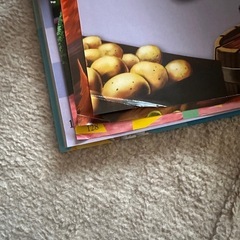 MY BIG BOOK OF WORDS ディズニー英語システム 英辞書 図鑑の画像