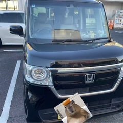ホンダNーBOX
の画像