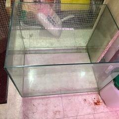 600×450×450  オールガラス水槽の画像