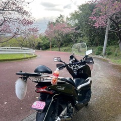 PCX jf81用 純正改スモークテールの画像