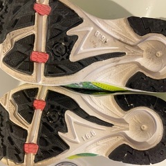 16cm瞬足
の画像