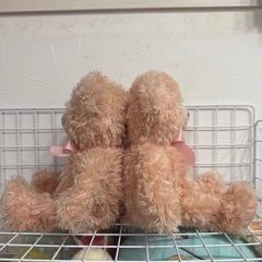 テディベア　ぬいぐるみの画像