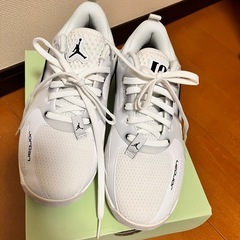 バスケットボール　シューズ　 の画像