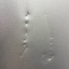 SHARP ノンフロン冷蔵庫　SJ-MW46H-S　2021年製の画像