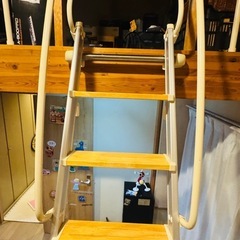 ハシゴの画像