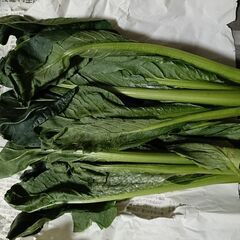 【第６弾】野菜いかがでしょうか？の画像