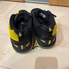 リーニン　バドミントンシューズの画像