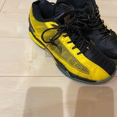 リーニン　バドミントンシューズの画像