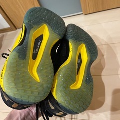 リーニン　バドミントンシューズの画像