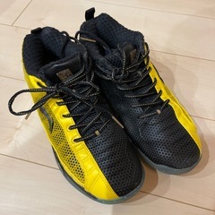 リーニン　バドミントンシューズの画像