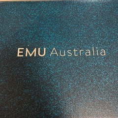 エミュオーストラリア(EMU Australia) ムートンブーツの画像
