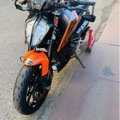 KTM 790duke の画像