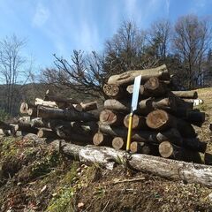 （訳あり品）★★薪（焚き木）用材／広葉樹『山桜／ニセアカシア（ハリエンジュ） など』／枝木材・半端材★★の画像