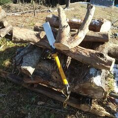 （訳あり品）★★薪（焚き木）用材／広葉樹『山桜／ニセアカシア（ハリエンジュ） など』／枝木材・半端材★★の画像