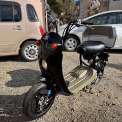 チョイノリ　綺麗ですの画像