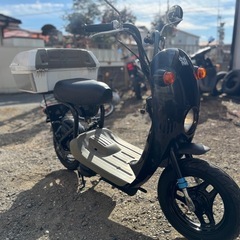 チョイノリ　綺麗ですの画像