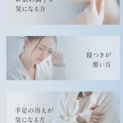 【新品】岩塩 30ｇ×4袋 ダイエット塩 塩分40%OFFの画像