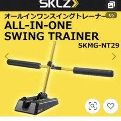 スキルズ　オールインワンスイングトレーナーの画像