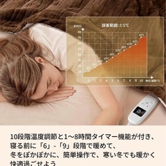 【✨新品✨】電気毛布 敷き 掛け兼用 節電 188×130cm 電気ブランケットの画像