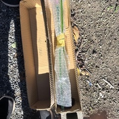 ガラスの花　二輪の画像