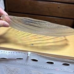 ガラスプレート皿 大皿 虹色　おしゃれな貝殻デザイン の画像