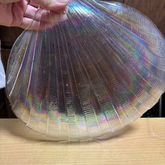 ガラスプレート皿 大皿 虹色　おしゃれな貝殻デザイン の画像