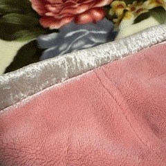 毛布 ダブルの画像