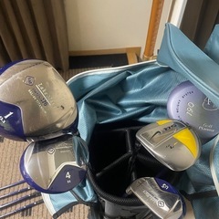 ゴルフグラブセットの画像