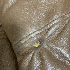 ソファ　無料の画像