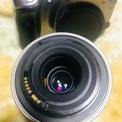 canon eos kiss digital の画像