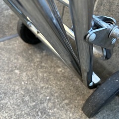 コールマン　キャリーの画像