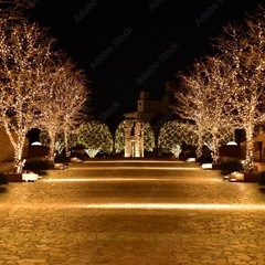 ✨明日ちょっとだけ✨ 恵比寿イルミネーション散歩🌿