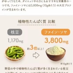 【健康志向の方へ】ファイン・ソヤ 大豆プロテインパウダーの画像