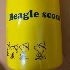 未使用長期保管　SNOOPY水筒　保冷機能なしの画像