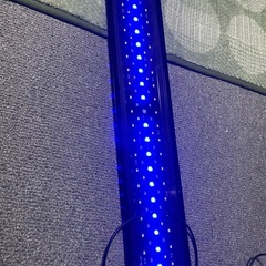 60cm水槽用LEDライトの画像