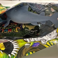 オオメジロザメ　スーパーレア！ジャングル　アンドコ　&coの画像