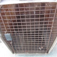 ドッグゲージ 程度悪い 中古品 現状品 ジャンク品 引き取り限定の画像