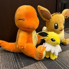 ポケモン ヒトカゲ イーブイ サンダース ぬいぐるみの画像