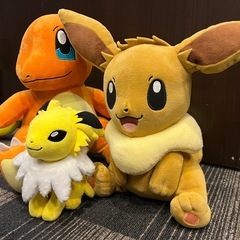 ポケモン ヒトカゲ イーブイ サンダース ぬいぐるみの画像
