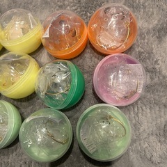 【交換優先】うちの子けだまだま　ガチャガチャの画像