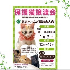 1/3（土）島忠ホームズ草加舎人店保護猫譲渡会