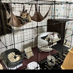 ワイヤーネットの画像