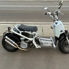 【今月限定20%値下げ】ズーマーの画像