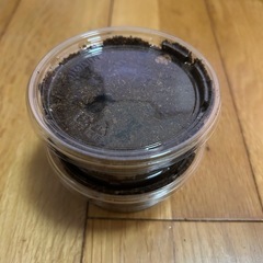 【期間限定】クワガタ福袋の画像